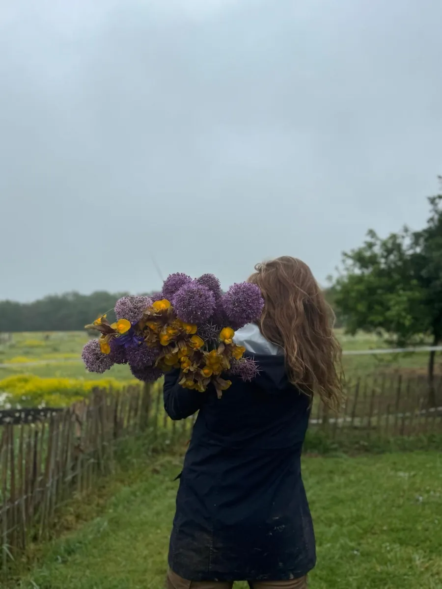 Anaïs, floricultrice, portant une brassée d'alliums violets et de fleurs jaunes dans un champ à Varades