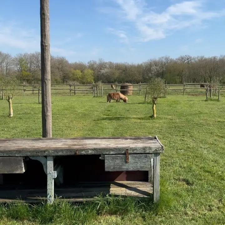 Champ de la ferme florale en Vallée de la Loire