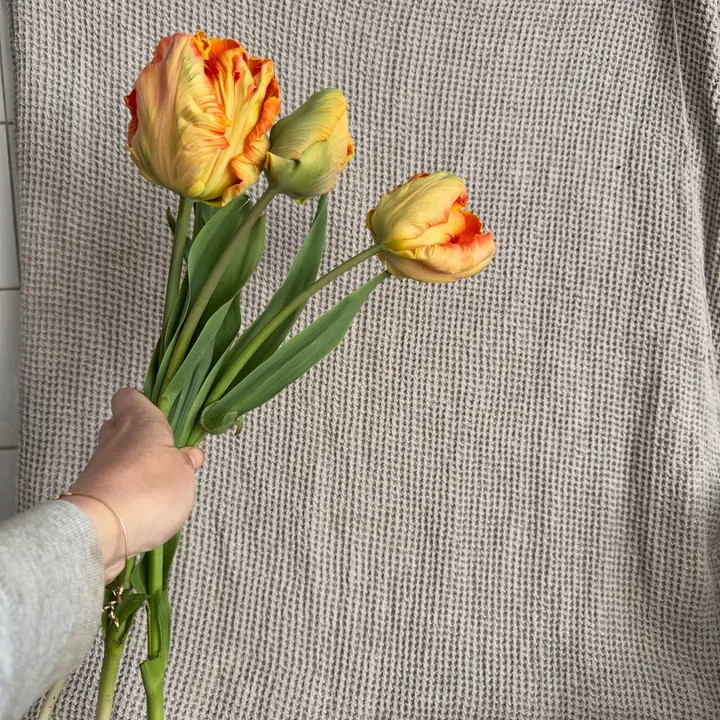 Tulipes doubles orange et jaune, fleurs de saison de la ferme florale